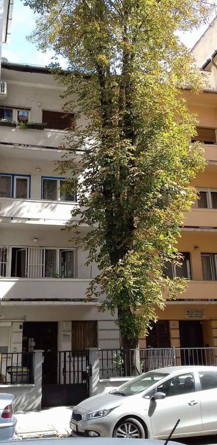 Studio Karma Budapest Exterior photo
